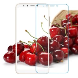 Защитное стекло для Xiaomi Redmi 5 Plus